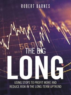 cover image of The Big Long